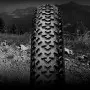 Покрышка Continental Race King 2.0, 29"x2.00, 50-622, Foldable, PureGrip, ShieldWall System, Skin, 660гр., черный