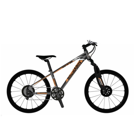 Велосипед RoyalBaby FEMA MTB 1.0 24", OFFICIAL UA, серый